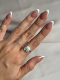 Anillo arbol de la vida